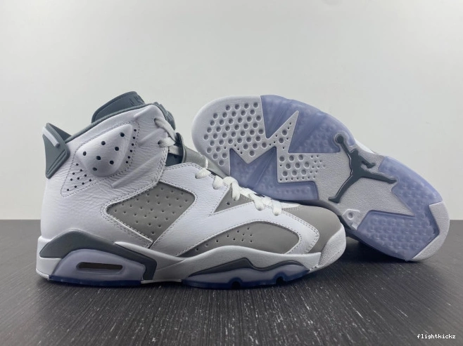 Grey Cool Jordan Air 6 CT8529-100 1213